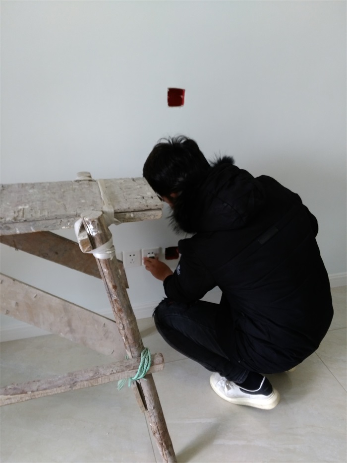 IMG_20190112_105025.jpg