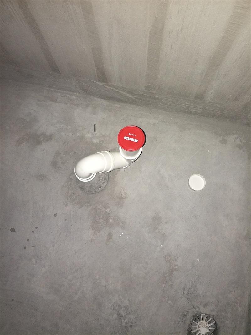 IMG20190216093054.jpg
