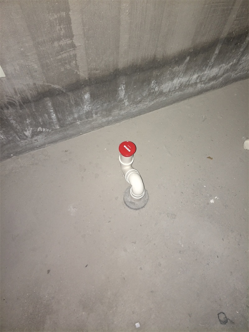 IMG20190216093237.jpg
