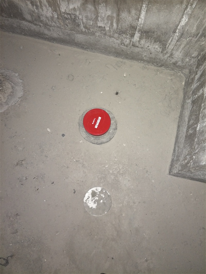 IMG20190216093253.jpg