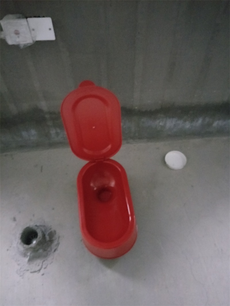 IMG20190216093117.jpg