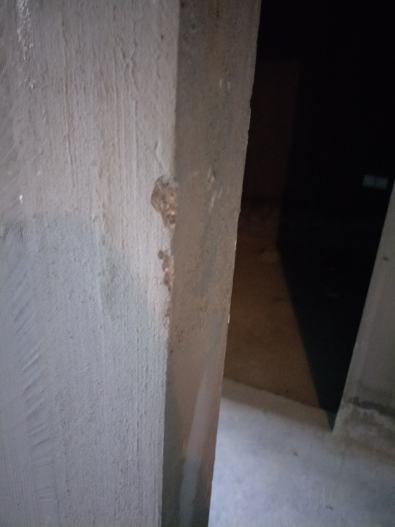 IMG20190216095940.jpg