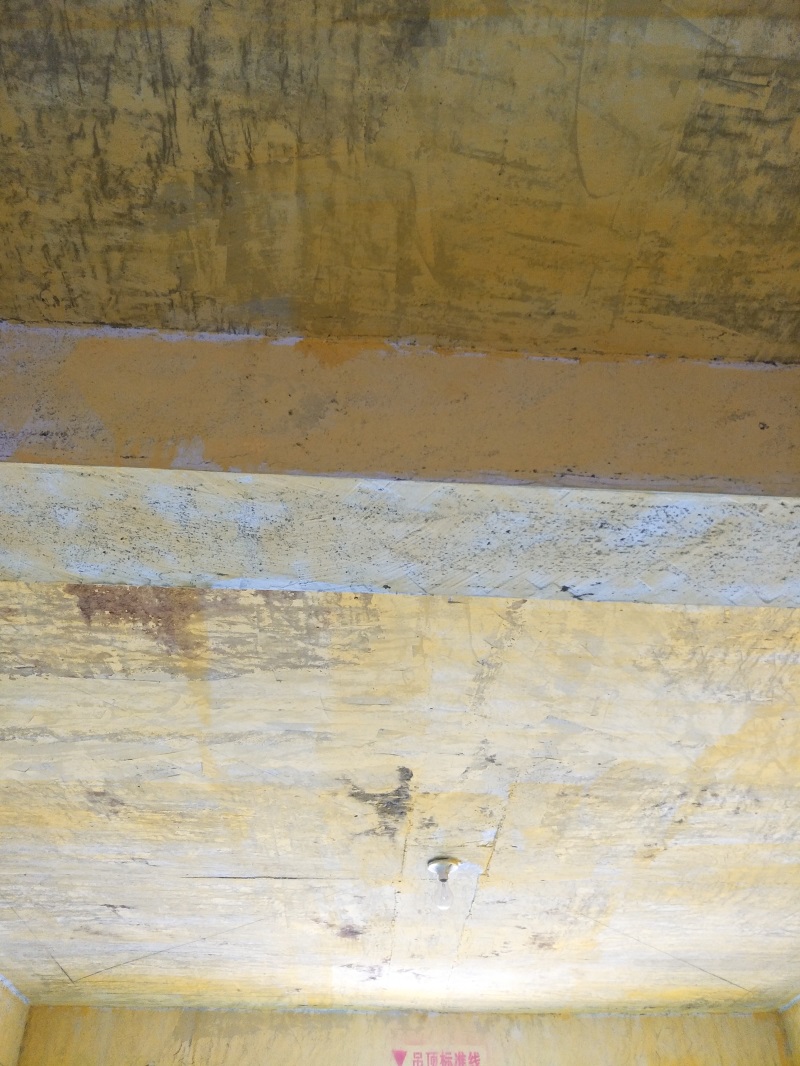 IMG20190219125434.jpg
