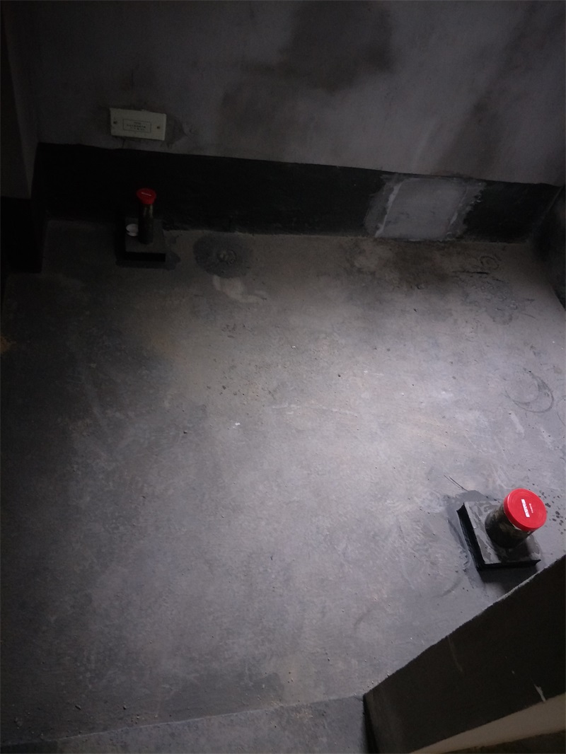 IMG20190220091829.jpg