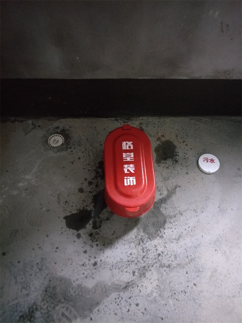 IMG20190220091850.jpg