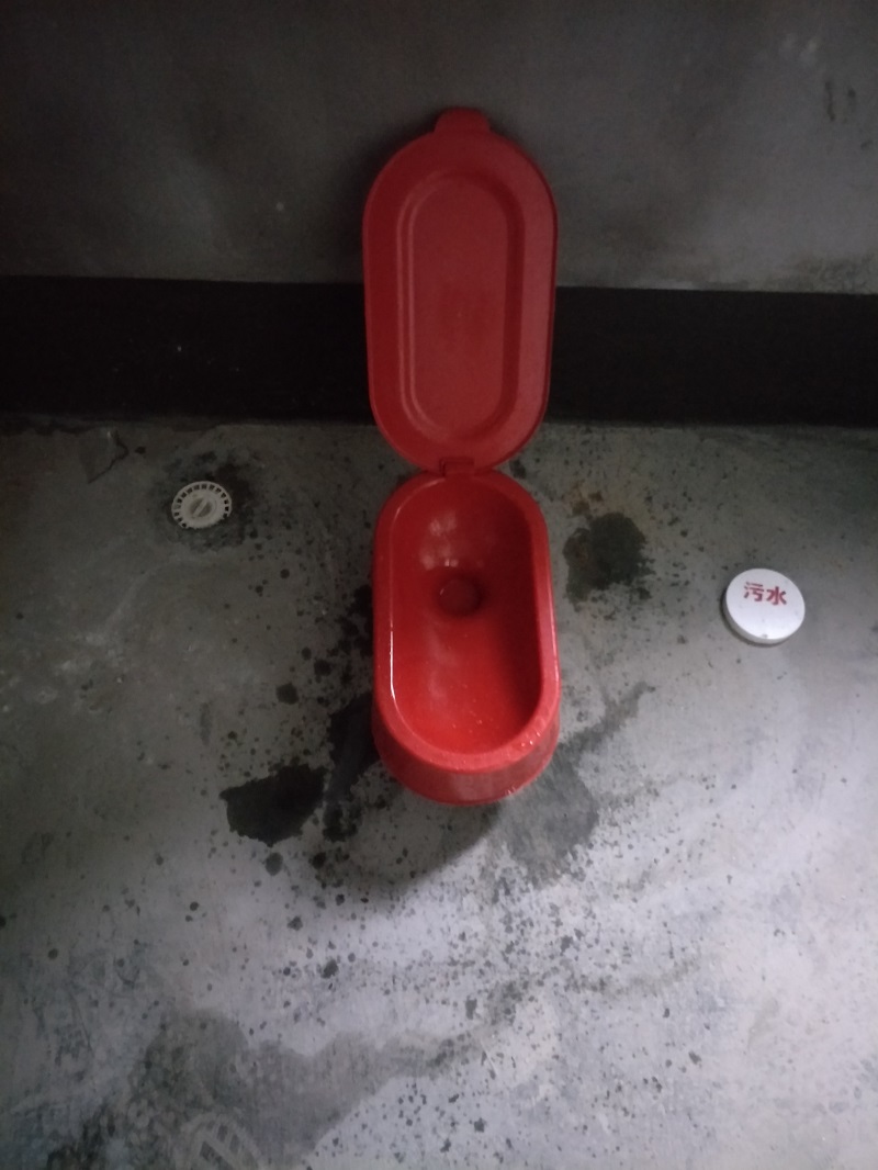 IMG20190220091845.jpg