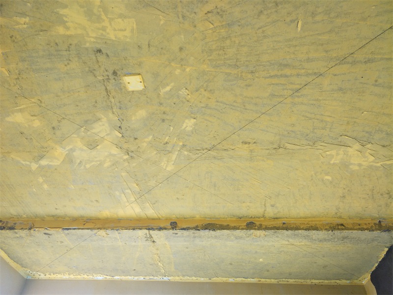 IMG20190219091553.jpg