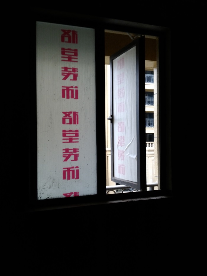 IMG_20190222_165203.jpg