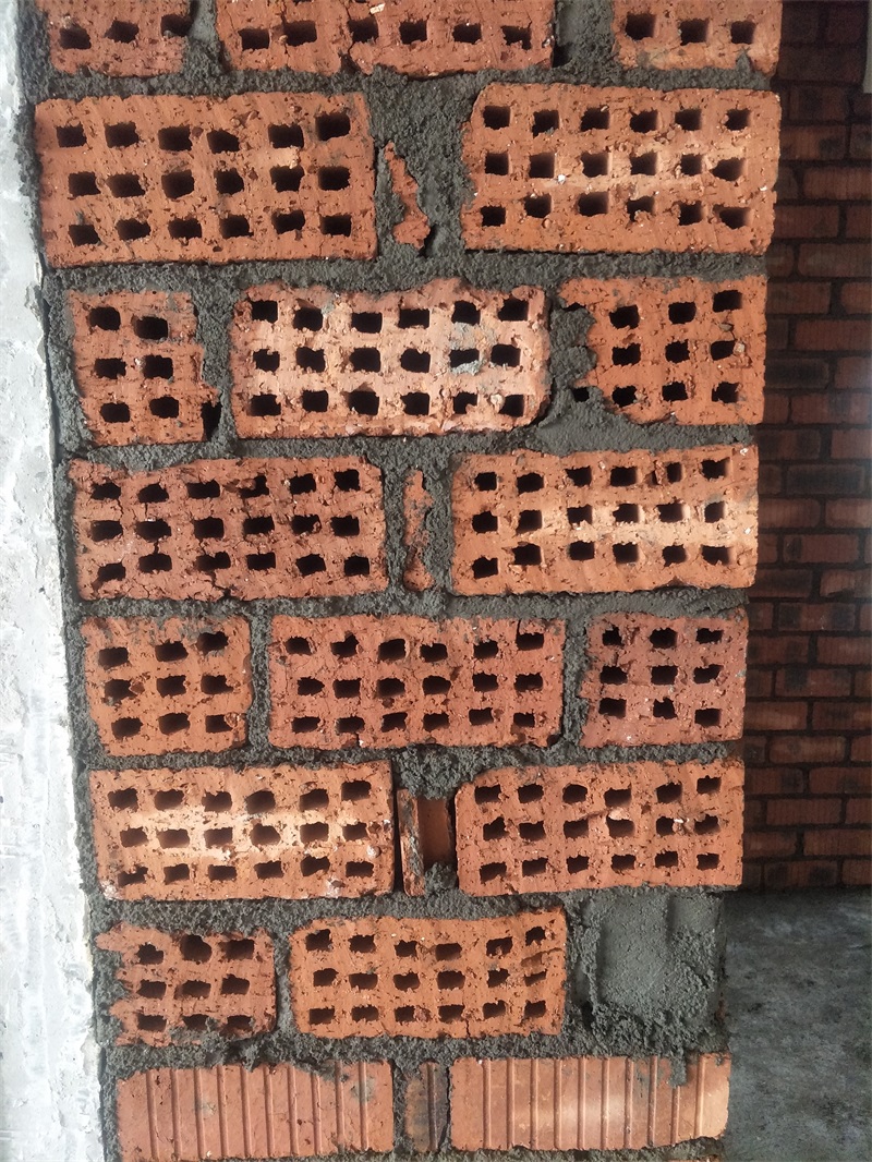 IMG20190221150724.jpg