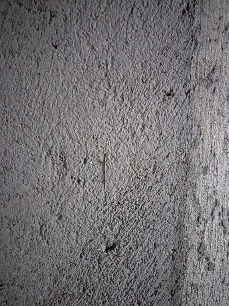 IMG20190225141542.jpg