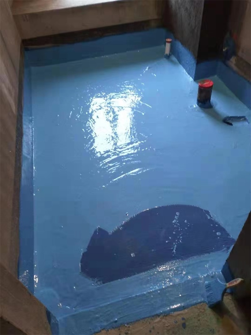 mmexport1551058315799.jpg