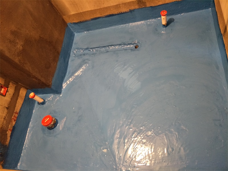 IMG20190225145348.jpg