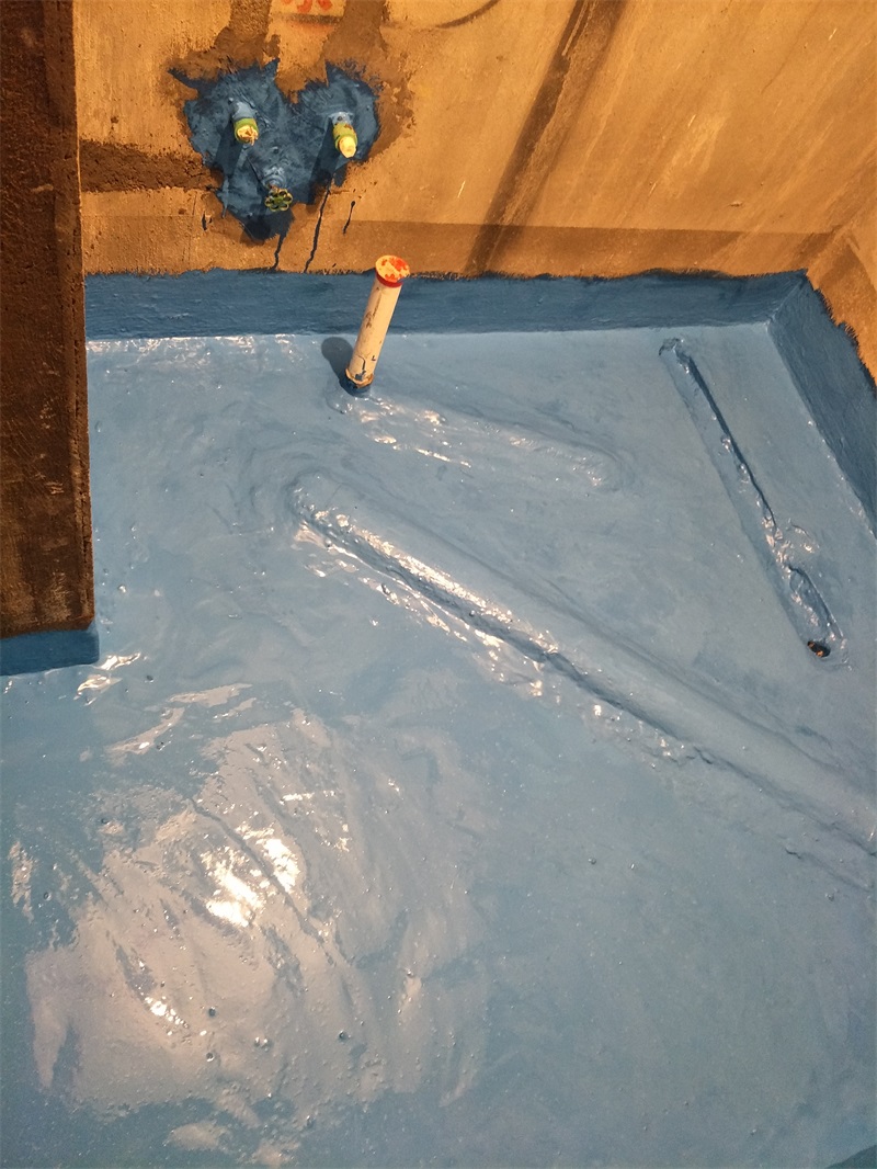 IMG20190225145408.jpg
