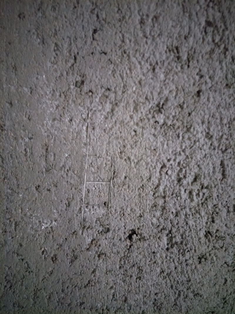 IMG20190225155446.jpg