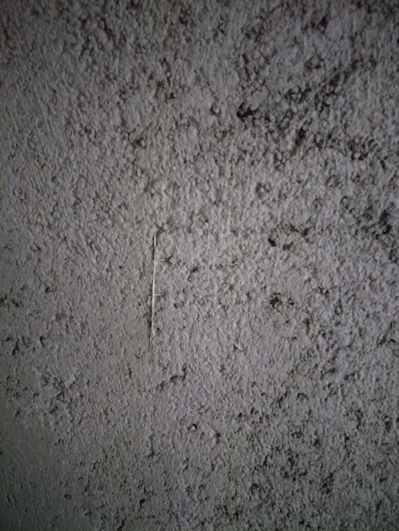IMG20190225155439.jpg
