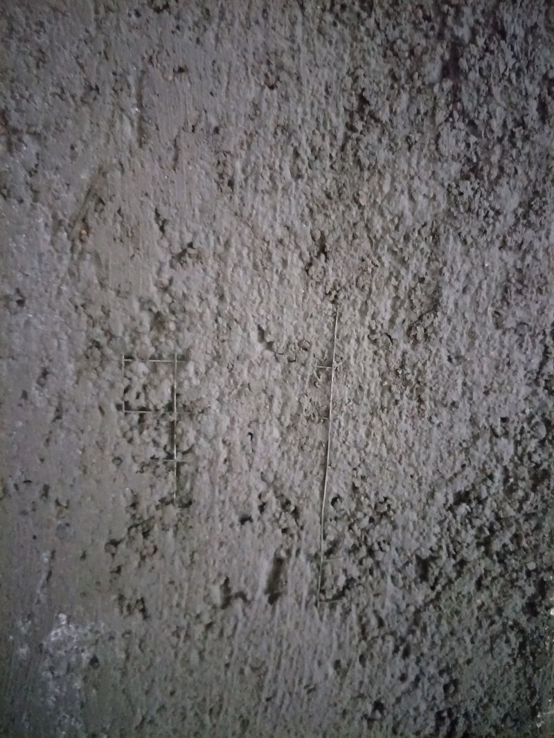 IMG20190225155459.jpg