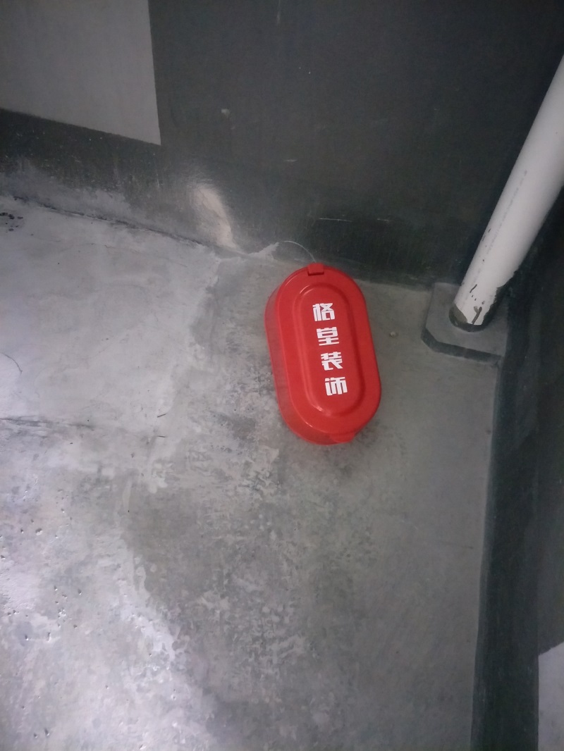 IMG20190224110245.jpg
