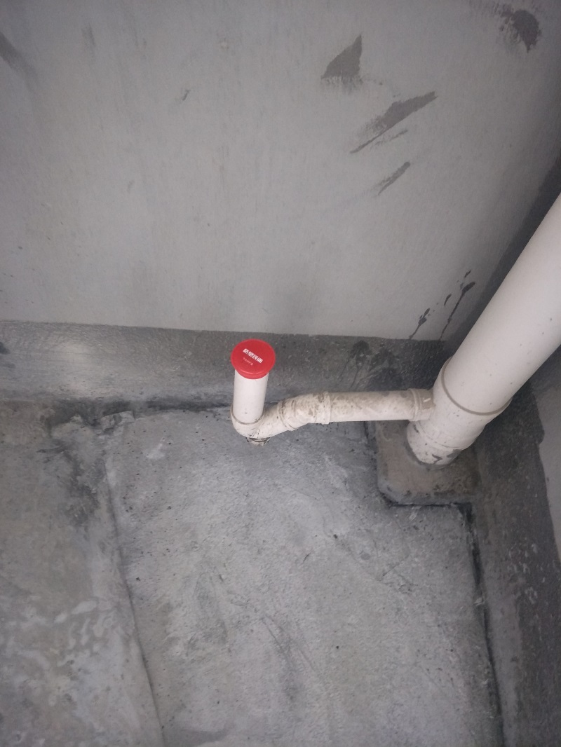 IMG20190224110617.jpg