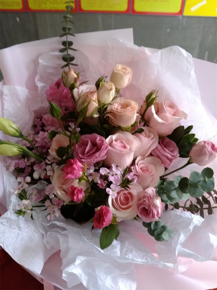 IMG_20190225_145517.jpg