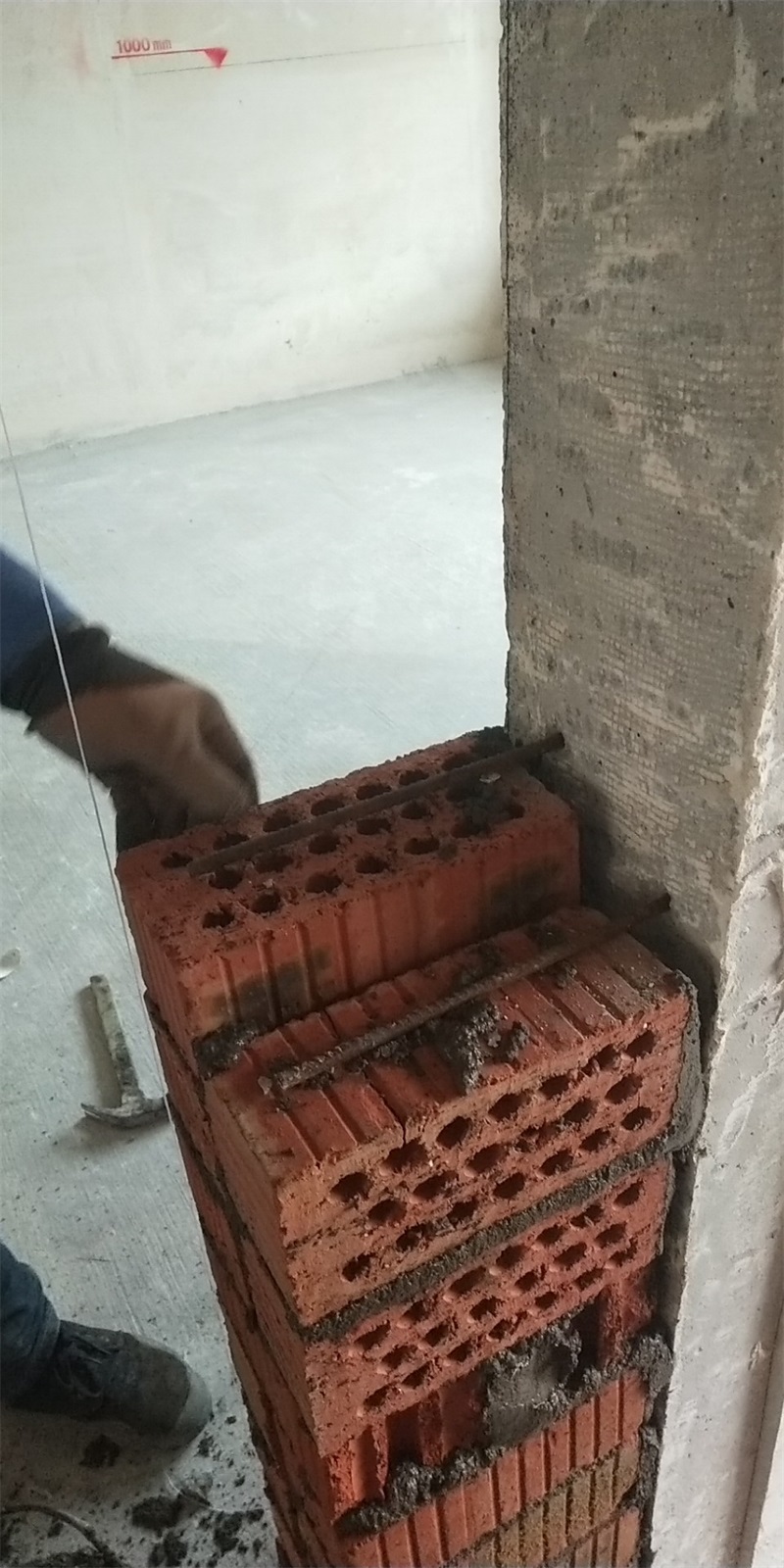 mmexport1551236522822.jpg