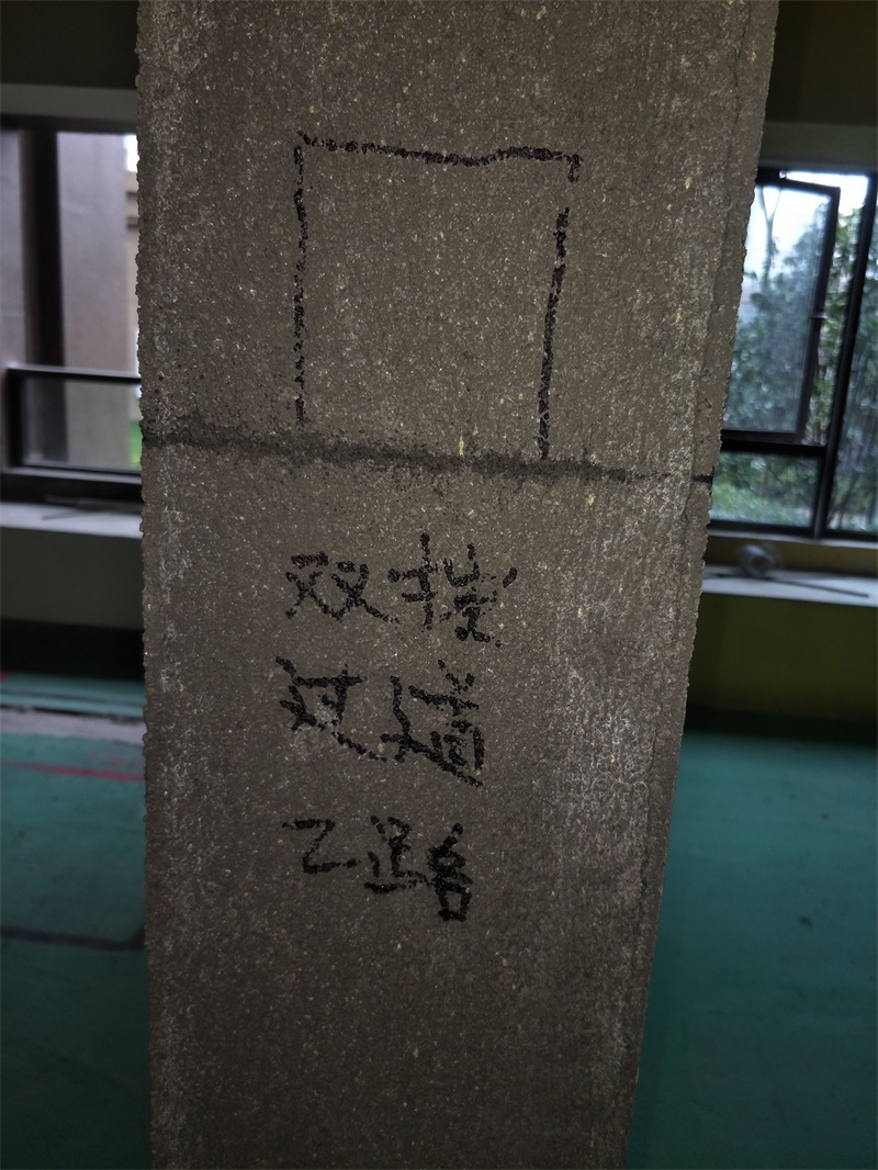 IMG20190227130539.jpg