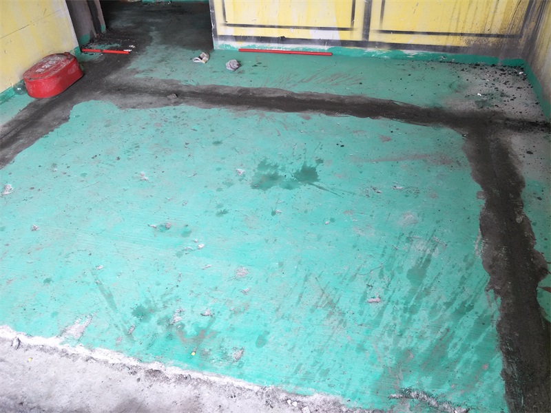 IMG20190227151853.jpg