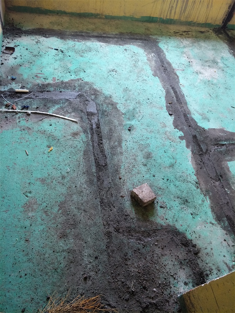 IMG20190227152017.jpg