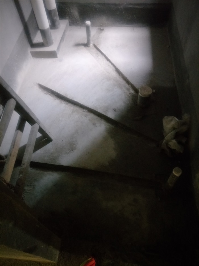 IMG20190302134401.jpg