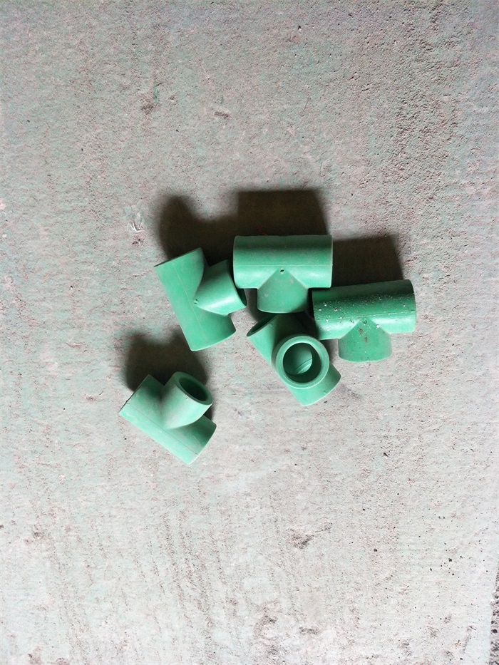IMG20190303135648.jpg
