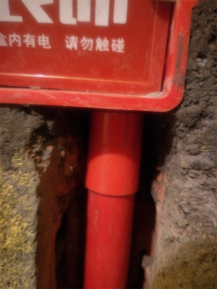 IMG20190302131849.jpg
