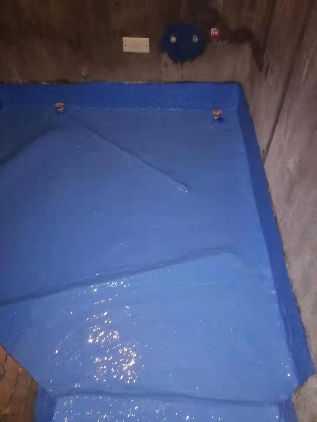b4785b0ec05b04a45548b462bdb1558.jpg