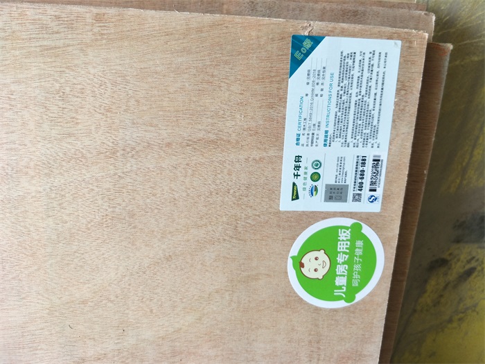 IMG20190304143109.jpg