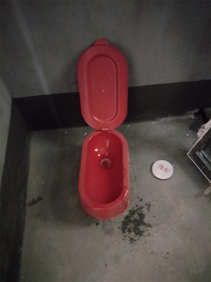 IMG20190304140828.jpg