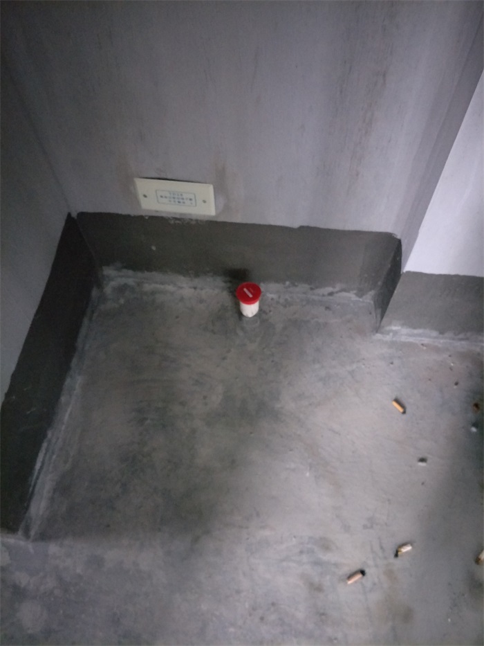 IMG20190306084532.jpg