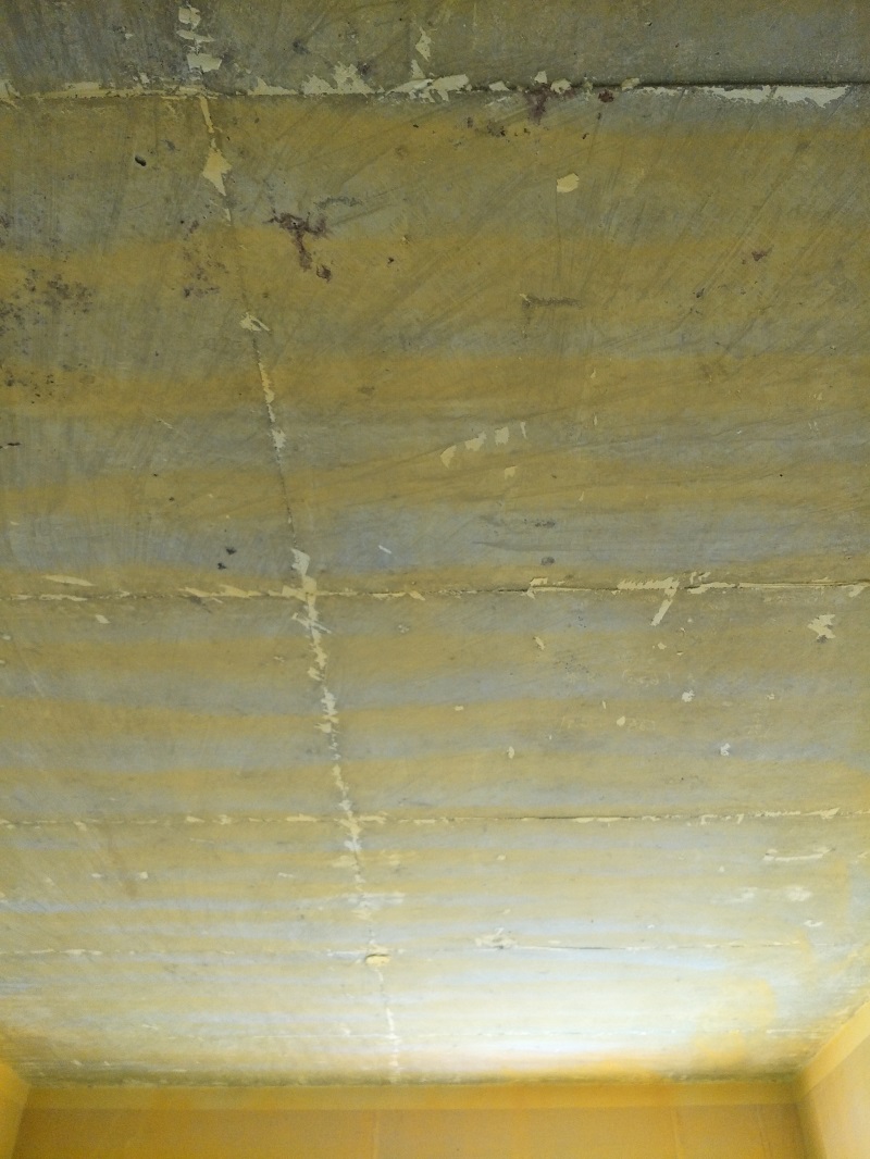 IMG20190306135153.jpg
