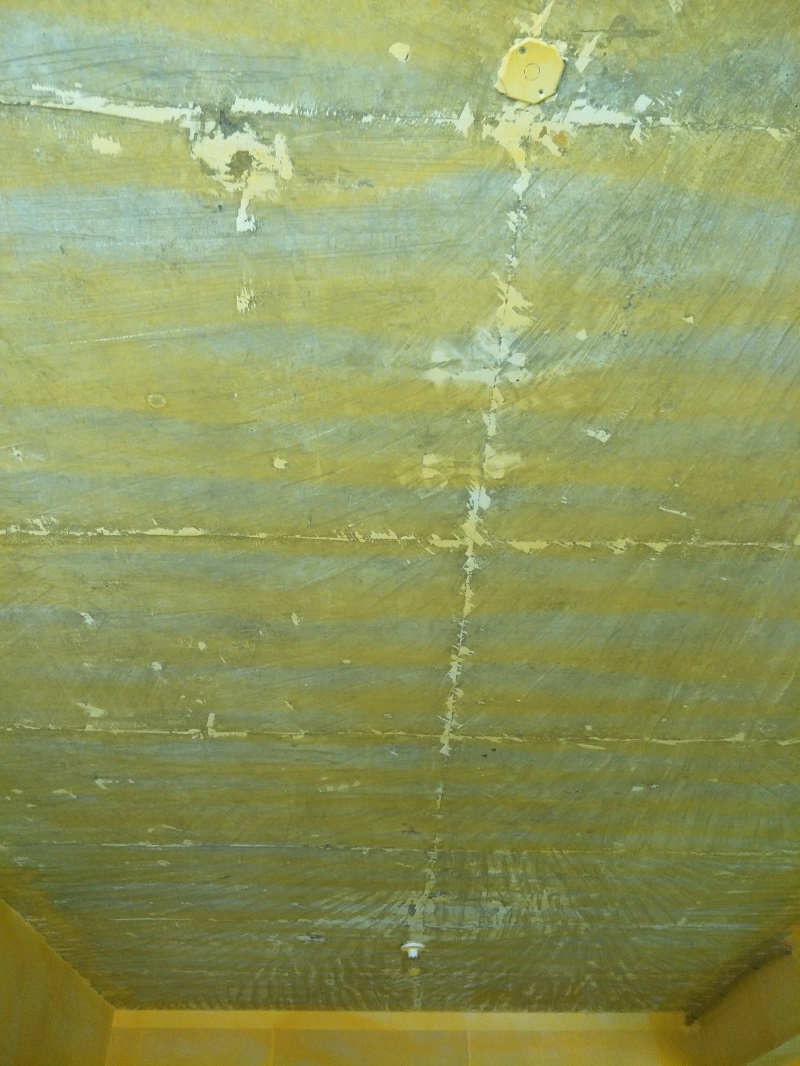 IMG20190306135231.jpg