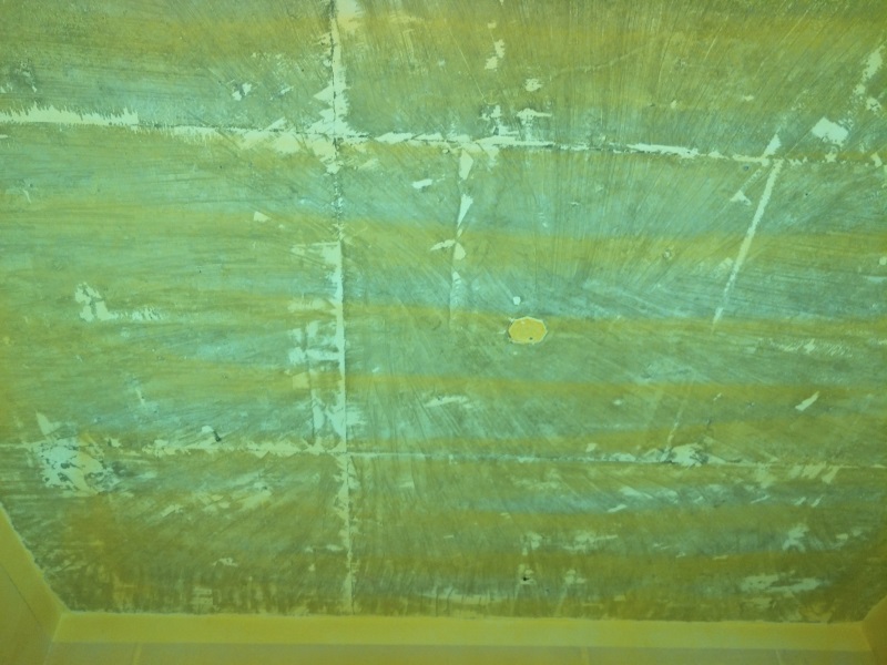 IMG20190306135354.jpg