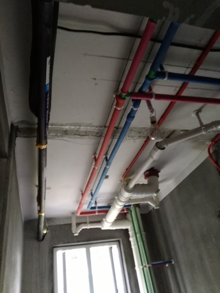 IMG_20190306_130445.jpg