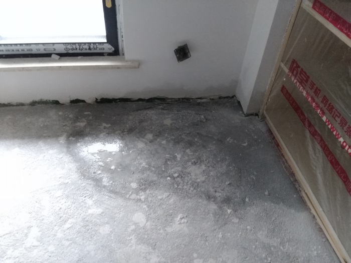 IMG_20190227_091336.jpg