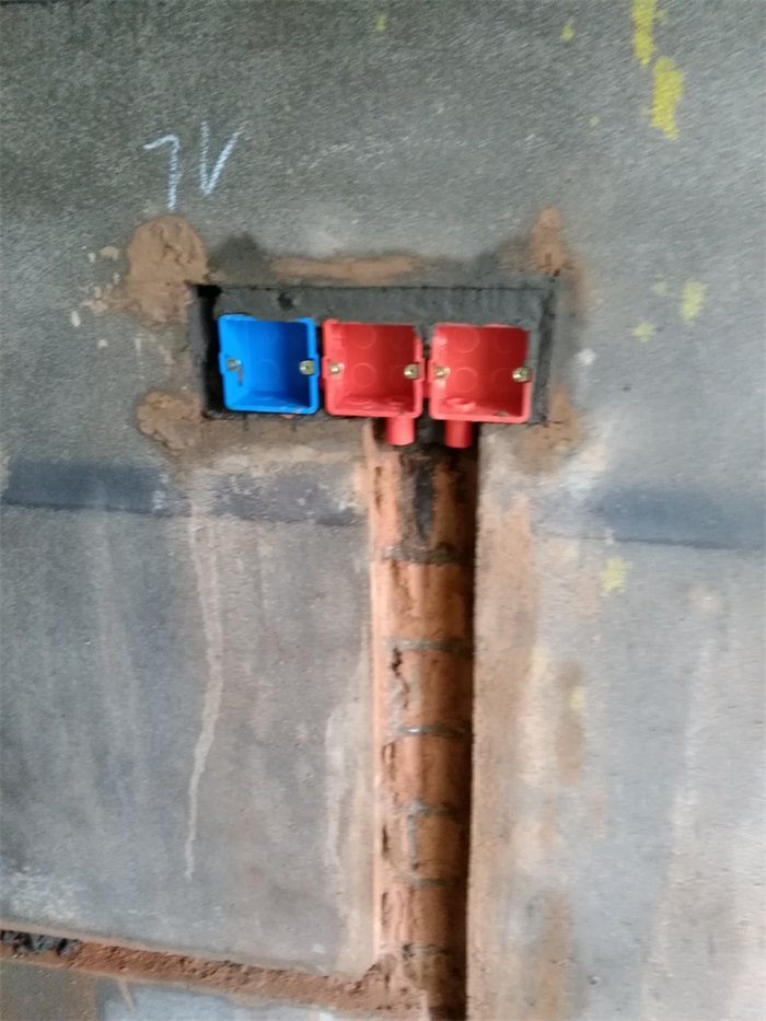 IMG_20190224_144522.jpg