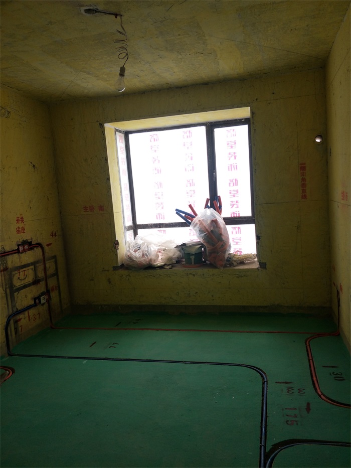 IMG20190307124150.jpg