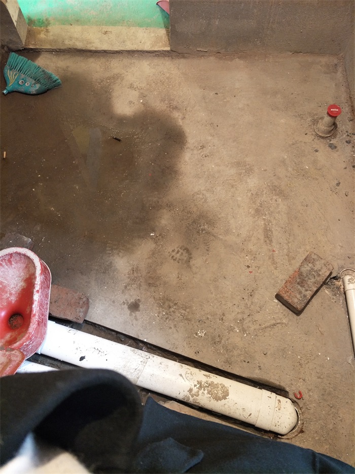 IMG20190307124628.jpg
