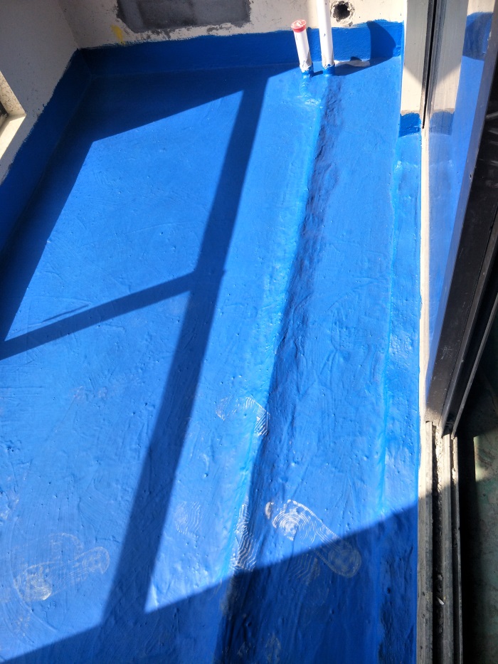 IMG20190312101007.jpg