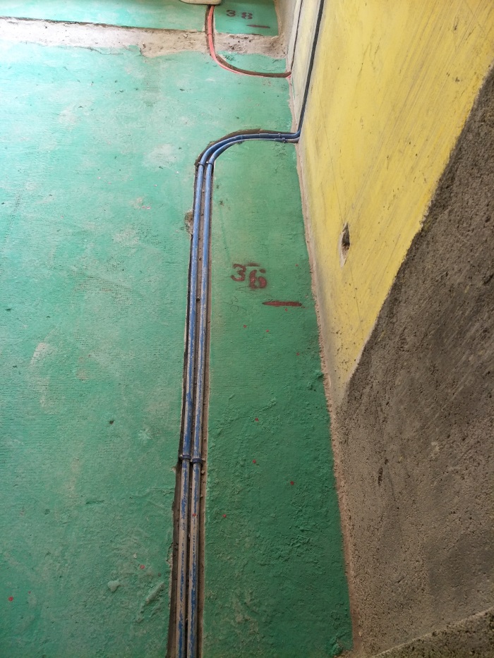 IMG20190312135229.jpg