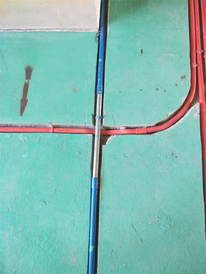 IMG20190312091753.jpg
