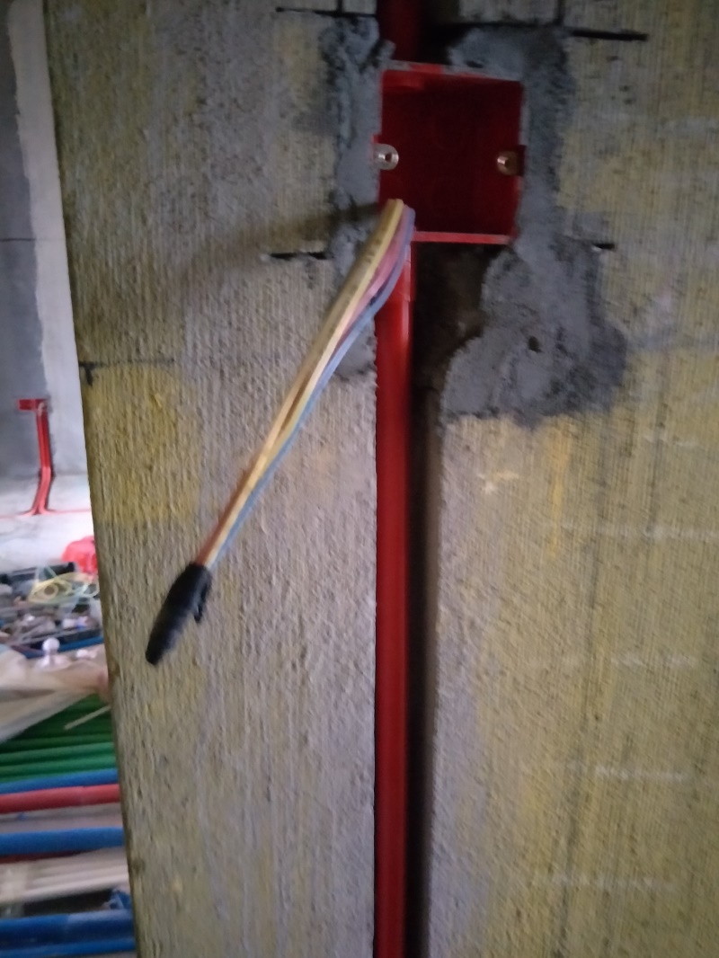 IMG20190311172250.jpg