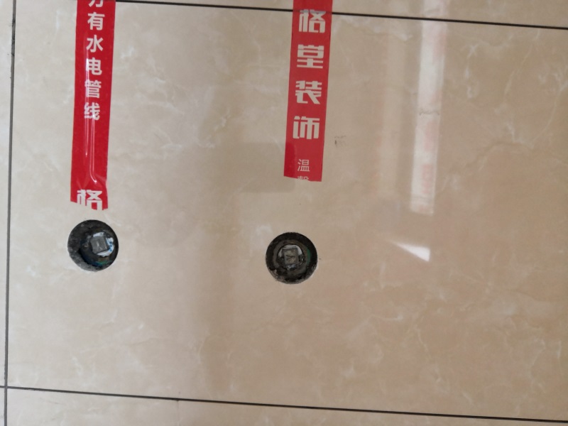 IMG_20190112_110216.jpg