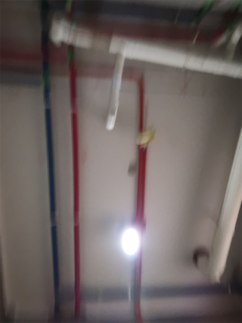IMG_20190112_085830.jpg