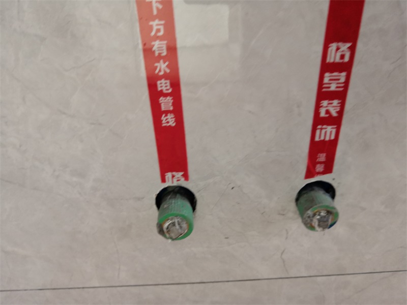 IMG_20190310_112220.jpg