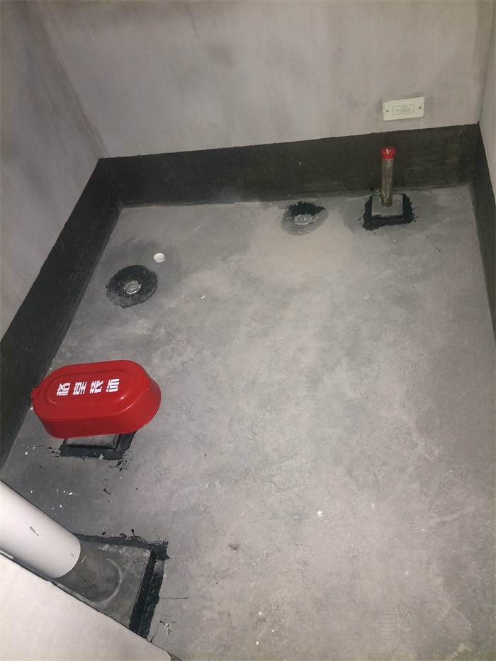 IMG20190314071721.jpg
